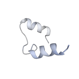 27021_8cvy_E_v1-2
Human glycogenin-1 and glycogen synthase-1 complex in the apo mobile state