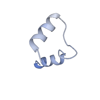 27021_8cvy_G_v1-2
Human glycogenin-1 and glycogen synthase-1 complex in the apo mobile state