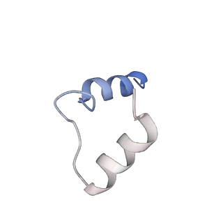 27021_8cvy_H_v1-2
Human glycogenin-1 and glycogen synthase-1 complex in the apo mobile state