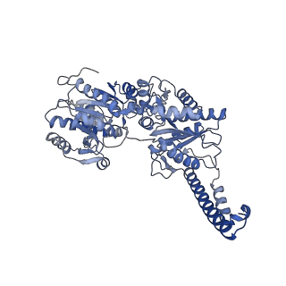 27022_8cvz_A_v1-1
Human glycogenin-1 and glycogen synthase-1 complex in the apo ordered state