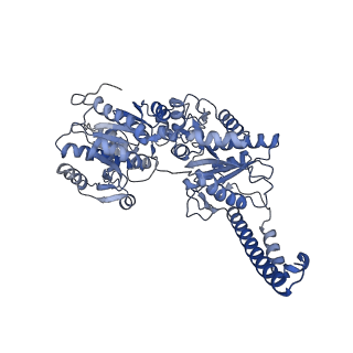 27022_8cvz_A_v1-2
Human glycogenin-1 and glycogen synthase-1 complex in the apo ordered state