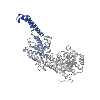 27022_8cvz_B_v1-1
Human glycogenin-1 and glycogen synthase-1 complex in the apo ordered state