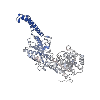 27022_8cvz_B_v1-2
Human glycogenin-1 and glycogen synthase-1 complex in the apo ordered state