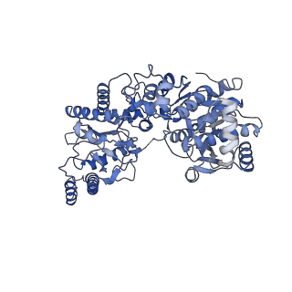 27022_8cvz_C_v1-1
Human glycogenin-1 and glycogen synthase-1 complex in the apo ordered state