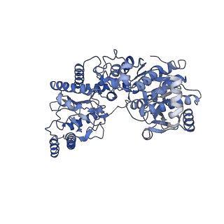 27022_8cvz_C_v1-2
Human glycogenin-1 and glycogen synthase-1 complex in the apo ordered state