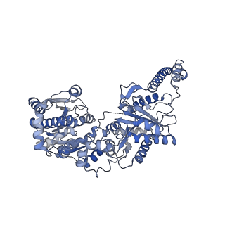 27022_8cvz_D_v1-1
Human glycogenin-1 and glycogen synthase-1 complex in the apo ordered state