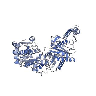 27022_8cvz_D_v1-2
Human glycogenin-1 and glycogen synthase-1 complex in the apo ordered state