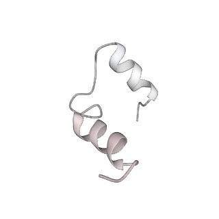 27022_8cvz_F_v1-2
Human glycogenin-1 and glycogen synthase-1 complex in the apo ordered state