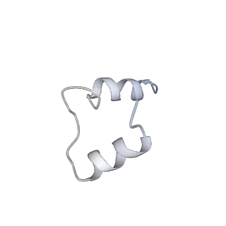 27022_8cvz_G_v1-2
Human glycogenin-1 and glycogen synthase-1 complex in the apo ordered state