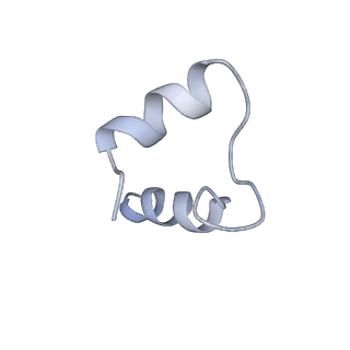 27022_8cvz_H_v1-1
Human glycogenin-1 and glycogen synthase-1 complex in the apo ordered state