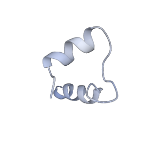 27022_8cvz_H_v1-2
Human glycogenin-1 and glycogen synthase-1 complex in the apo ordered state