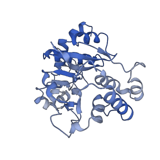 27022_8cvz_I_v1-1
Human glycogenin-1 and glycogen synthase-1 complex in the apo ordered state