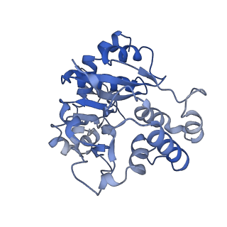 27022_8cvz_I_v1-2
Human glycogenin-1 and glycogen synthase-1 complex in the apo ordered state