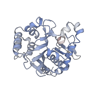 27022_8cvz_J_v1-1
Human glycogenin-1 and glycogen synthase-1 complex in the apo ordered state