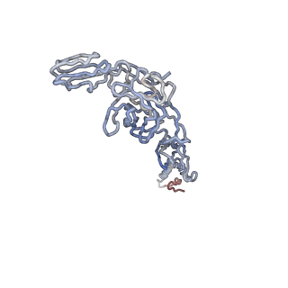 30477_7cvz_B_v1-1
Cryo-EM structure of Chikungunya virus in complex with Fab fragments of mAb CHK-263