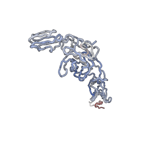 30477_7cvz_B_v1-2
Cryo-EM structure of Chikungunya virus in complex with Fab fragments of mAb CHK-263