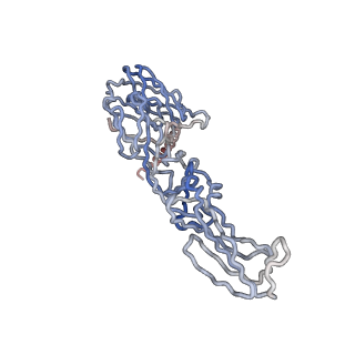 30477_7cvz_D_v1-1
Cryo-EM structure of Chikungunya virus in complex with Fab fragments of mAb CHK-263