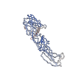 30477_7cvz_D_v1-2
Cryo-EM structure of Chikungunya virus in complex with Fab fragments of mAb CHK-263