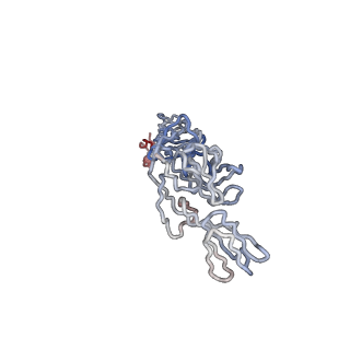 30477_7cvz_E_v1-1
Cryo-EM structure of Chikungunya virus in complex with Fab fragments of mAb CHK-263