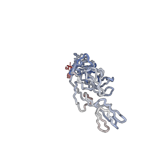 30477_7cvz_E_v1-2
Cryo-EM structure of Chikungunya virus in complex with Fab fragments of mAb CHK-263