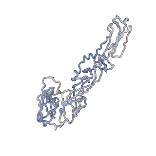 30477_7cvz_G_v1-1
Cryo-EM structure of Chikungunya virus in complex with Fab fragments of mAb CHK-263