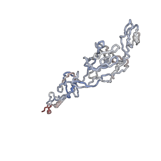 30477_7cvz_H_v1-1
Cryo-EM structure of Chikungunya virus in complex with Fab fragments of mAb CHK-263