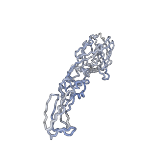 30477_7cvz_J_v1-1
Cryo-EM structure of Chikungunya virus in complex with Fab fragments of mAb CHK-263