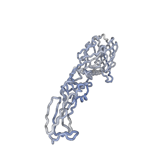 30477_7cvz_J_v1-2
Cryo-EM structure of Chikungunya virus in complex with Fab fragments of mAb CHK-263