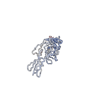 30477_7cvz_K_v1-1
Cryo-EM structure of Chikungunya virus in complex with Fab fragments of mAb CHK-263