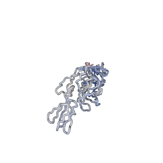 30477_7cvz_K_v1-2
Cryo-EM structure of Chikungunya virus in complex with Fab fragments of mAb CHK-263