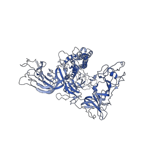 7631_6cv0_A_v1-2
Cryo-electron microscopy structure of infectious bronchitis coronavirus spike protein