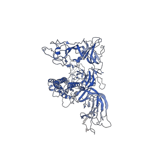 7631_6cv0_B_v1-2
Cryo-electron microscopy structure of infectious bronchitis coronavirus spike protein