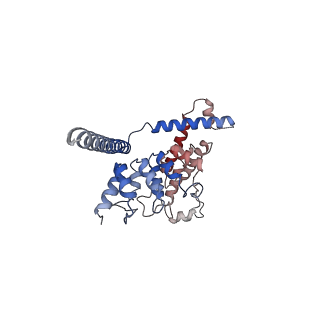7637_6cv9_A_v1-2
Cytoplasmic domain of mTRPC6