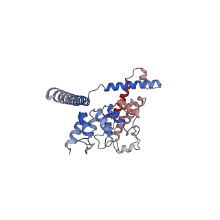 7637_6cv9_A_v1-3
Cytoplasmic domain of mTRPC6