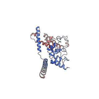 7637_6cv9_B_v1-2
Cytoplasmic domain of mTRPC6