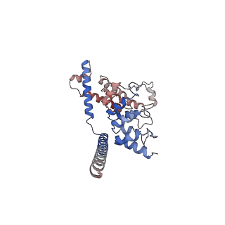 7637_6cv9_B_v1-3
Cytoplasmic domain of mTRPC6