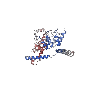 7637_6cv9_C_v1-2
Cytoplasmic domain of mTRPC6