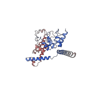 7637_6cv9_C_v1-3
Cytoplasmic domain of mTRPC6