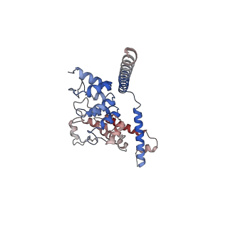 7637_6cv9_D_v1-2
Cytoplasmic domain of mTRPC6