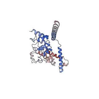 7637_6cv9_D_v1-3
Cytoplasmic domain of mTRPC6