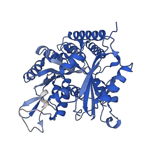 7769_6cvj_A_v1-4
Model of synthetic tau (four tandem repeats of first repeat sequence) bound to the microtubule