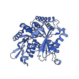 7769_6cvj_C_v1-4
Model of synthetic tau (four tandem repeats of first repeat sequence) bound to the microtubule