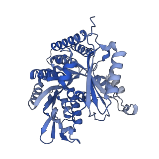 7771_6cvn_A_v1-4
Model of synthetic tau (R2x4) bound to the microtubule