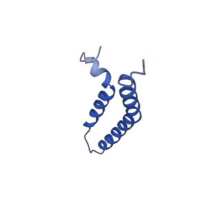 27023_8cw4_1J_v1-1
CryoEM structure of the N-pilus from Escherichia coli