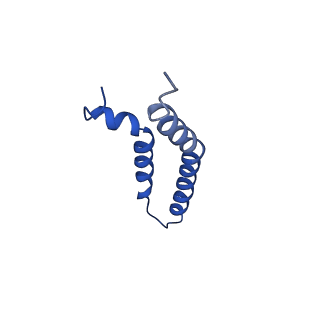 27023_8cw4_1K_v1-1
CryoEM structure of the N-pilus from Escherichia coli