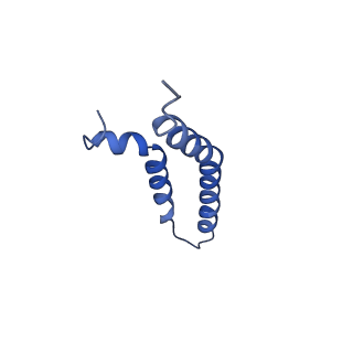 27023_8cw4_2I_v1-1
CryoEM structure of the N-pilus from Escherichia coli