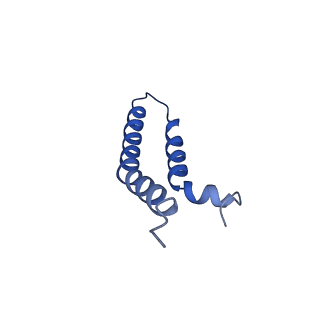 27023_8cw4_4J_v1-1
CryoEM structure of the N-pilus from Escherichia coli