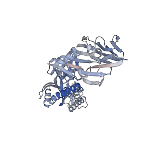 27024_8cw9_A_v1-1
Prefusion-stabilized hMPV fusion protein bound to ADI-61026 and MPE8 Fabs