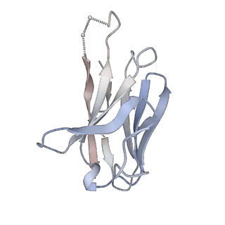 27024_8cw9_D_v1-1
Prefusion-stabilized hMPV fusion protein bound to ADI-61026 and MPE8 Fabs