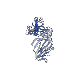 27024_8cw9_E_v1-1
Prefusion-stabilized hMPV fusion protein bound to ADI-61026 and MPE8 Fabs